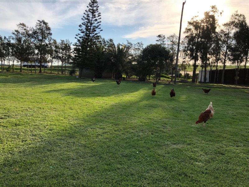 4 Bedroom Property for Sale in Durbanville Western Cape